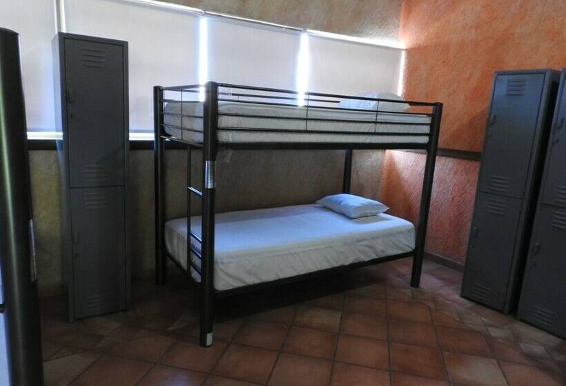 מיטה בחדר משותף, Hostal San Jemo León Hostel