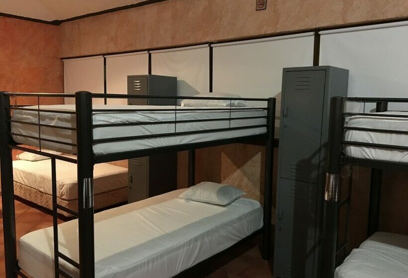 מיטה בחדר משותף, Hostal San Jemo León Hostel