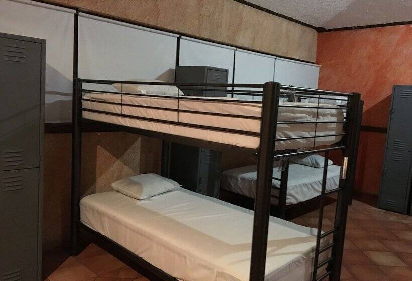 מיטה בחדר משותף, Hostal San Jemo León Hostel