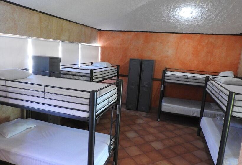 מיטה בחדר משותף, Hostal San Jemo León Hostel