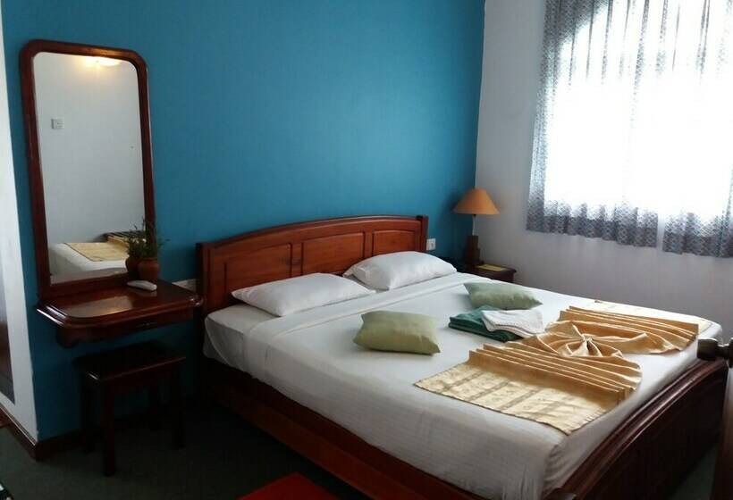 Habitació Estàndard, Binota