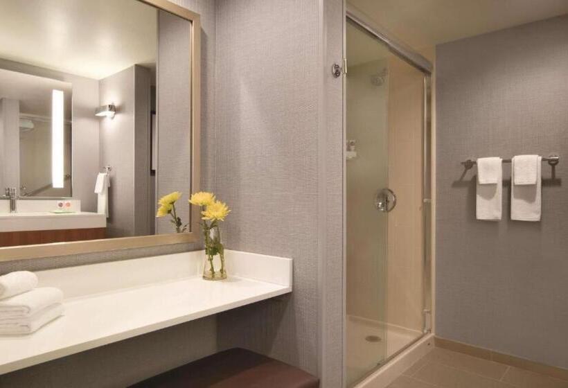 غرفة قياسية سرير كينج, Hyatt Place Chicago Ohare Airport