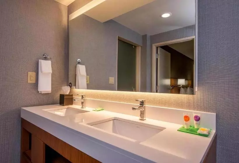 キングサイズベッドのスタンダードルーム, Hyatt Place Chicago Ohare Airport