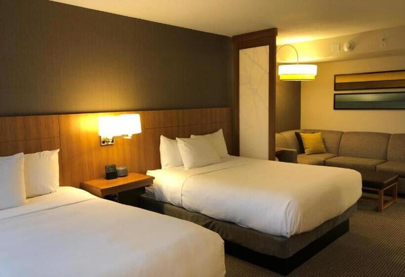 Quarto Standard 2 Camas Casal, Hyatt Place Chicago Ohare Airport