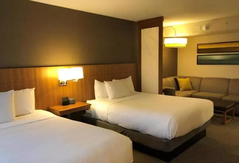 ２ダブルベッドのスタンダードルーム, Hyatt Place Chicago Ohare Airport