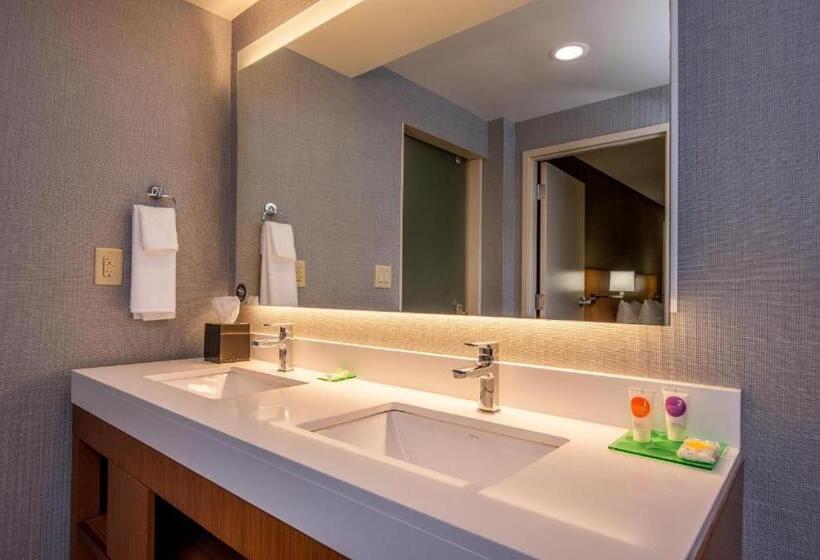 غرفه قياسيه سريرين مزدوجين, Hyatt Place Chicago Ohare Airport