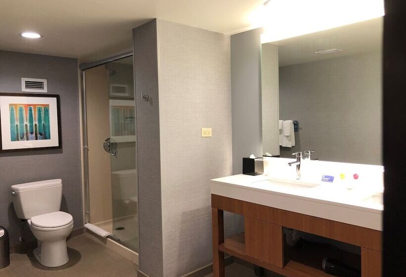 غرفة قياسية, Hyatt Place Chicago Ohare Airport