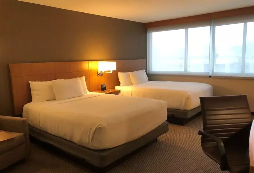 身障者適用スタンダードルーム, Hyatt Place Chicago Ohare Airport