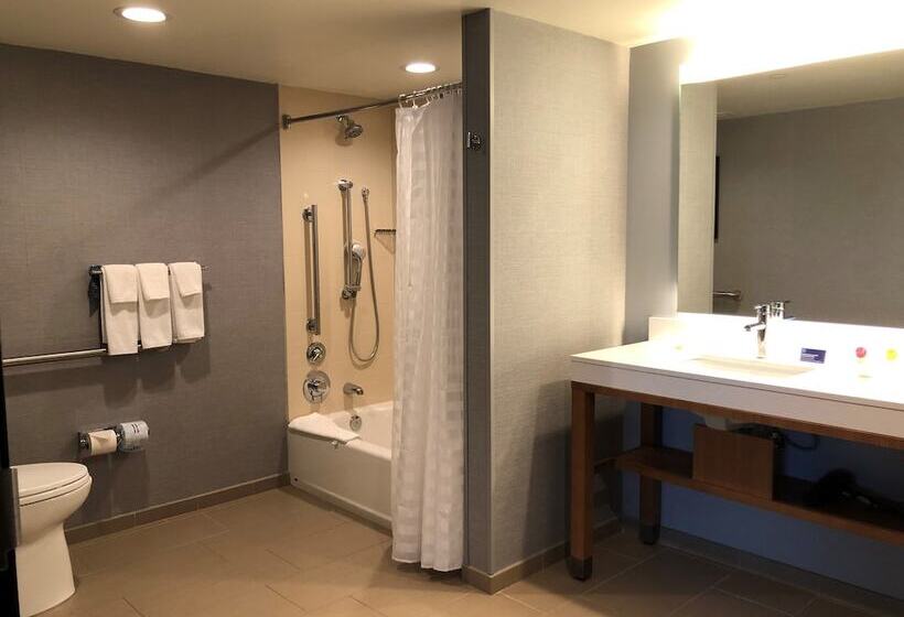 غرفة قياسية لذوى الاحتياجات الخاصة, Hyatt Place Chicago Ohare Airport