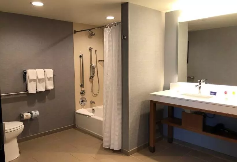 身障者適用スタンダードルーム, Hyatt Place Chicago Ohare Airport