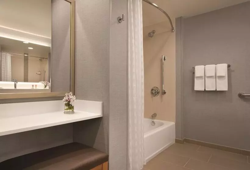 身障者適用スタンダードルーム, Hyatt Place Chicago Ohare Airport