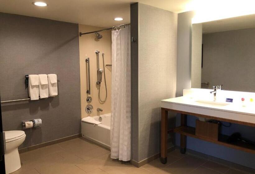 غرفة قياسية لذوى الاحتياجات الخاصة, Hyatt Place Chicago Ohare Airport