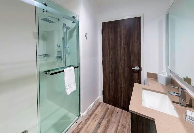 景色の見えるスイートルーム, Springhill Suites By Marriott Navarre Beach
