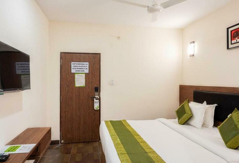 标准间, Treebo Mvp Grand