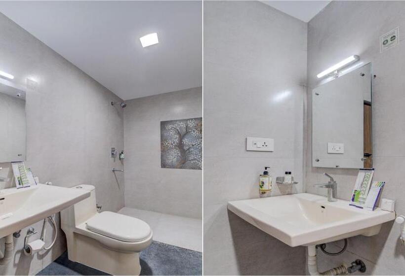 标准单人间, Treebo Mvp Grand