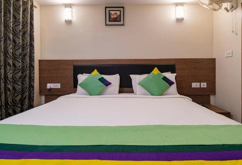 标准单人间, Treebo Mvp Grand