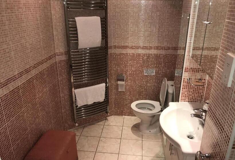 Номер Стандарт Индивидуальный Совместная Ванная, The Red House