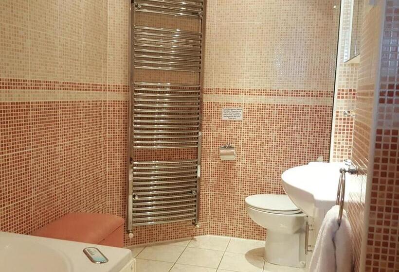 Номер Стандарт Индивидуальный Совместная Ванная, The Red House