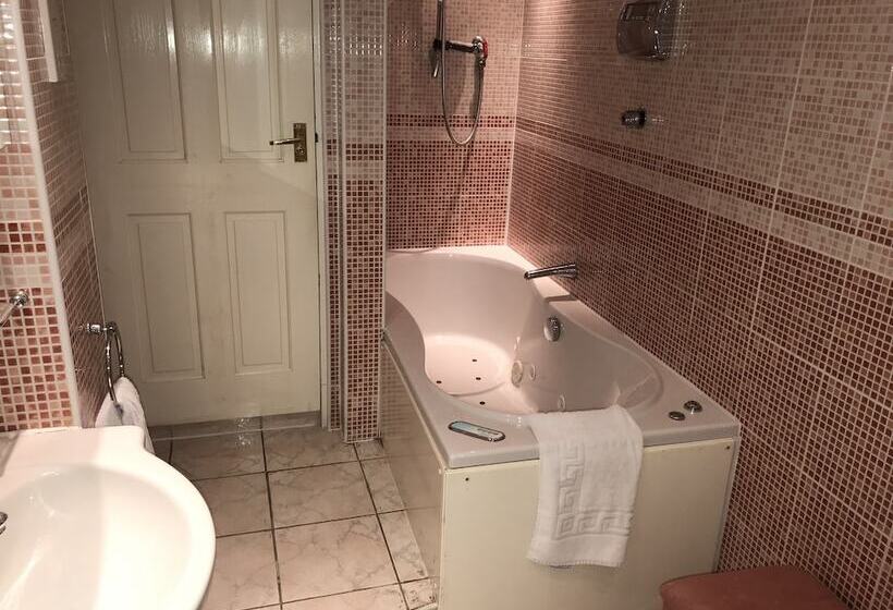 Номер Стандарт Индивидуальный Совместная Ванная, The Red House