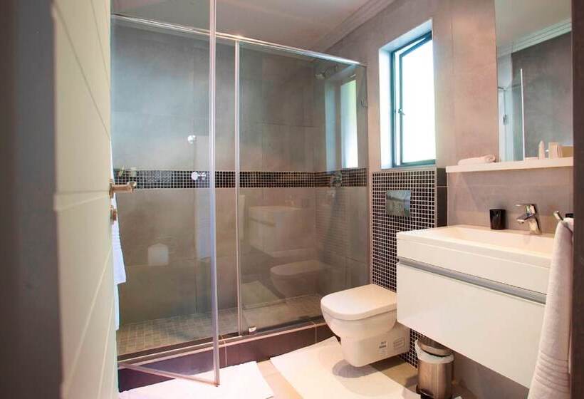 Apartamento Executivo 1 Dormitório, Villa Moyal