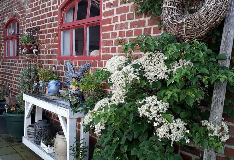 غرفة قياسية فردية, B7 Selfkant