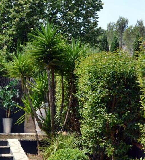 Номер Стандарт Вид на Сад, Les Jardins De Galicia