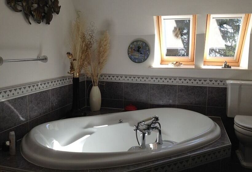 디럭스 룸 바다 전망, Old Drynie House