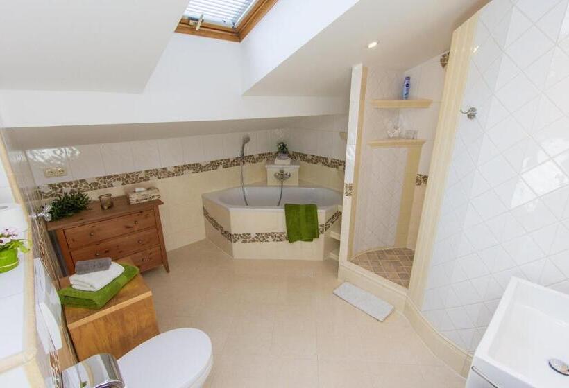 房顶倾斜的标准房间, Alpenblick