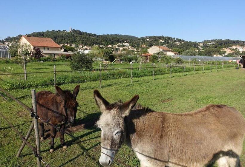 חדר סטנדרט, Gite Du Pagoulin  Chambres D Hotes