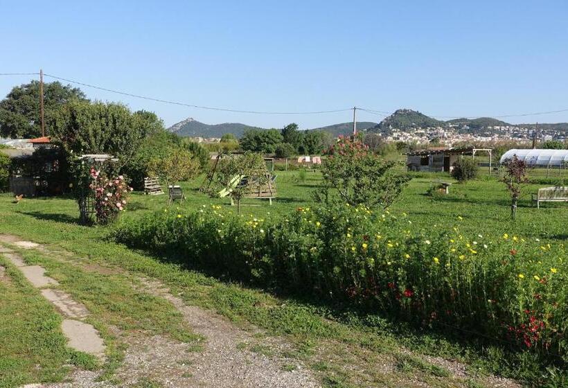 חדר סטנדרט, Gite Du Pagoulin  Chambres D Hotes