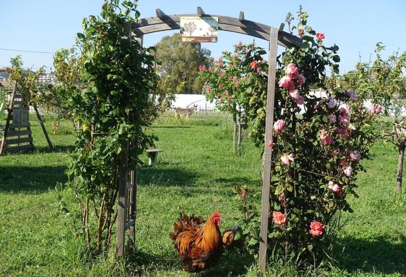 חדר סטנדרט, Gite Du Pagoulin  Chambres D Hotes