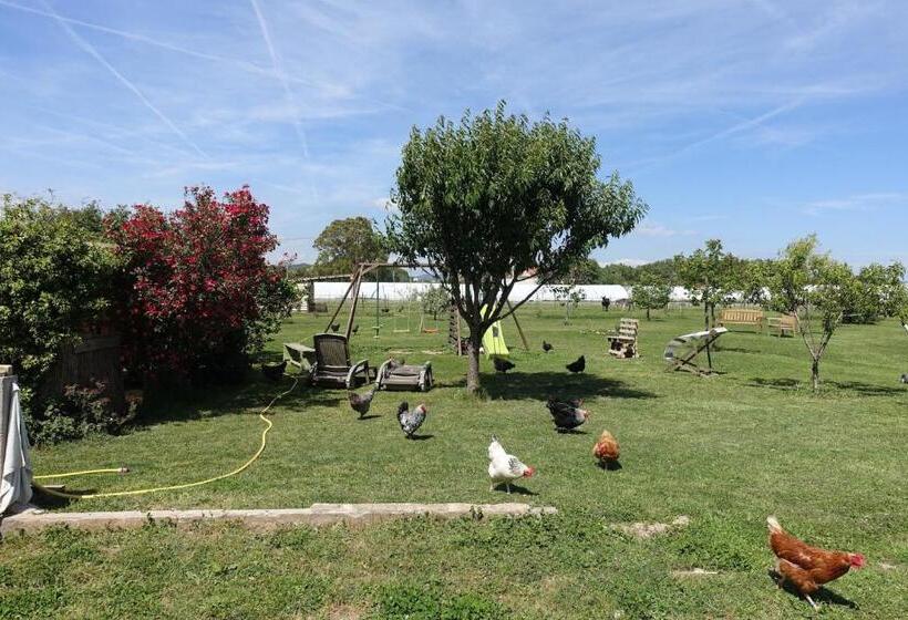 חדר סטנדרט עם טרסה, Gite Du Pagoulin  Chambres D Hotes