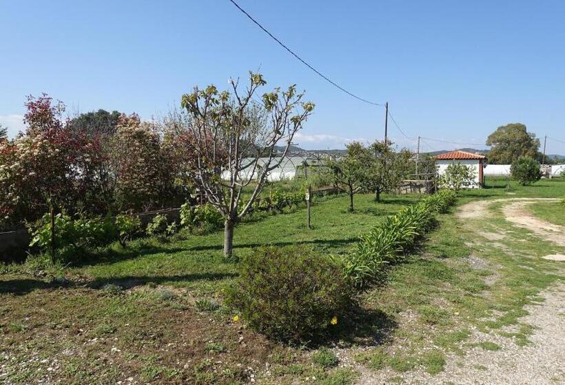 חדר סטנדרט עם טרסה, Gite Du Pagoulin  Chambres D Hotes