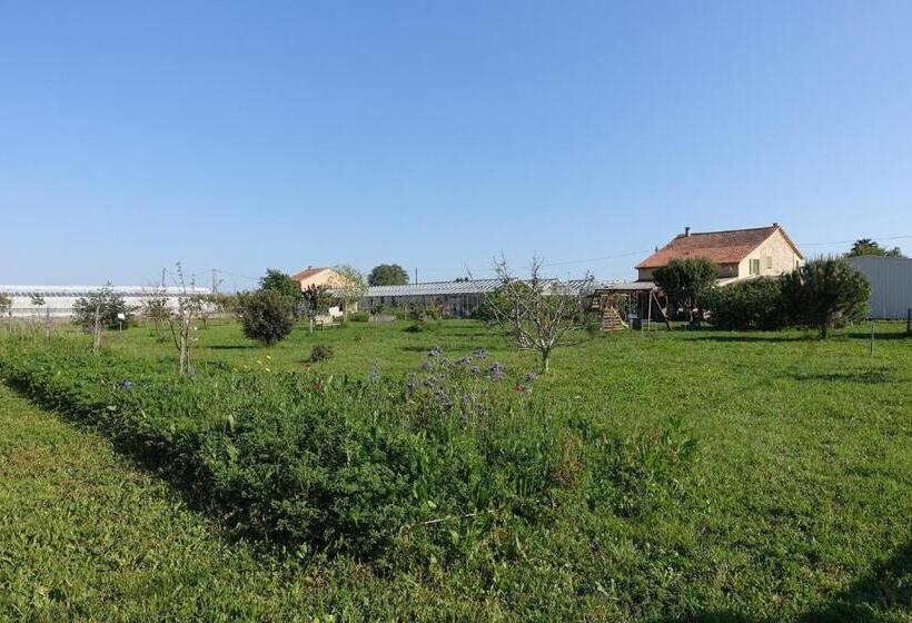 חדר סטנדרט עם טרסה, Gite Du Pagoulin  Chambres D Hotes