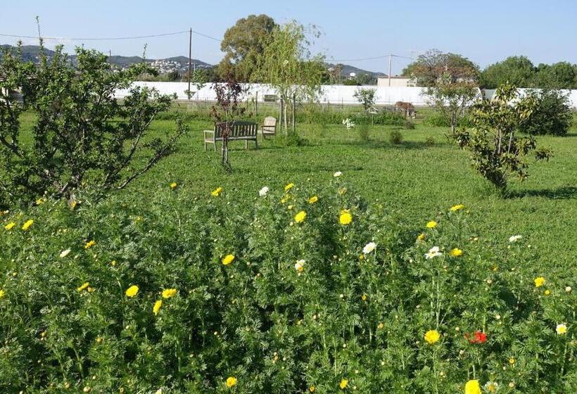 חדר סטנדרט עם טרסה, Gite Du Pagoulin  Chambres D Hotes