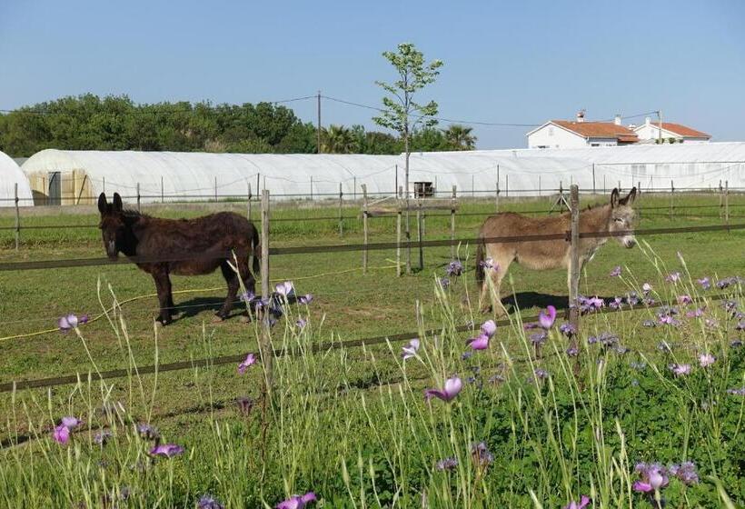 חדר סטנדרט עם טרסה, Gite Du Pagoulin  Chambres D Hotes