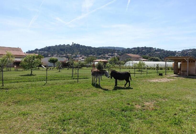 חדר סטנדרט עם טרסה, Gite Du Pagoulin  Chambres D Hotes