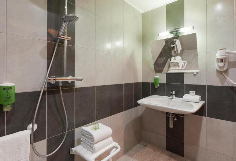Одноместный Номер Стандарт Адаптированный для Инвалидов, Comfort Hotel Orléans Olivet Provinces