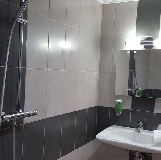 适合残疾人士使用的单人标准间, Comfort Hotel Orléans Olivet Provinces