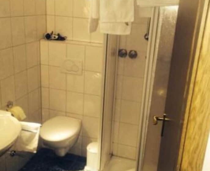 スタンダードシングルルーム, Friesenhof