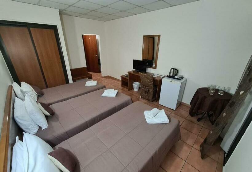 스탠다드 트리플 룸, Metropole