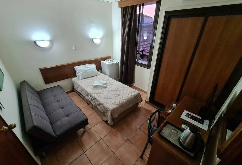 스탠다드 싱글 룸, Metropole