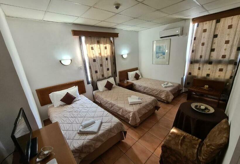 이코노미 트리플 룸, Metropole