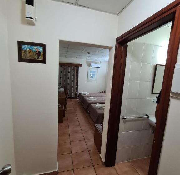 이코노미 트리플 룸, Metropole