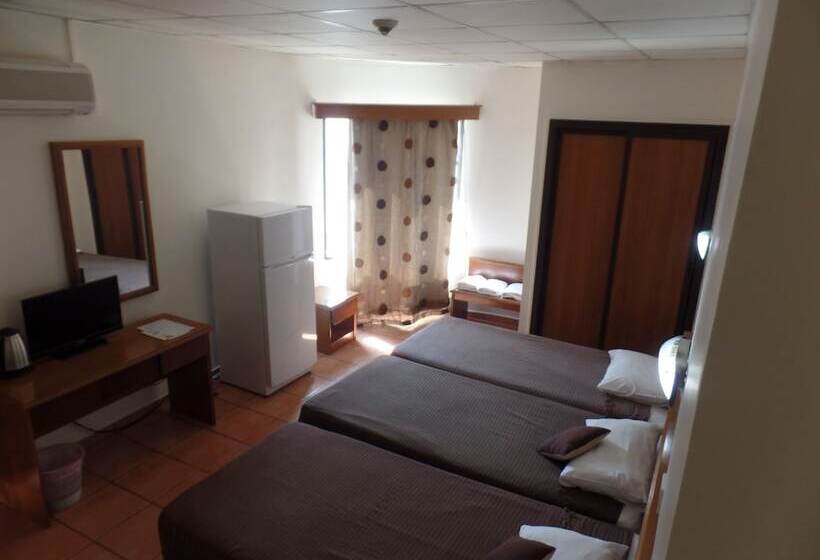 스탠다드 트리플 룸, Metropole