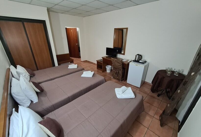 이코노미 트리플 룸, Metropole