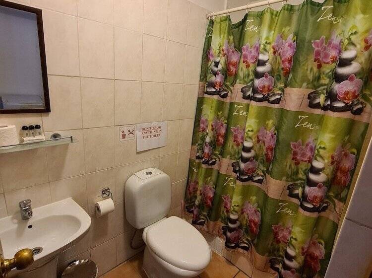 이코노미 트리플 룸, Metropole