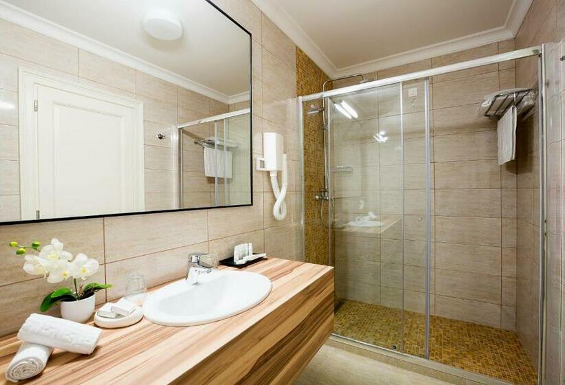 Номер Economy Индивидуальный, Saint Germain