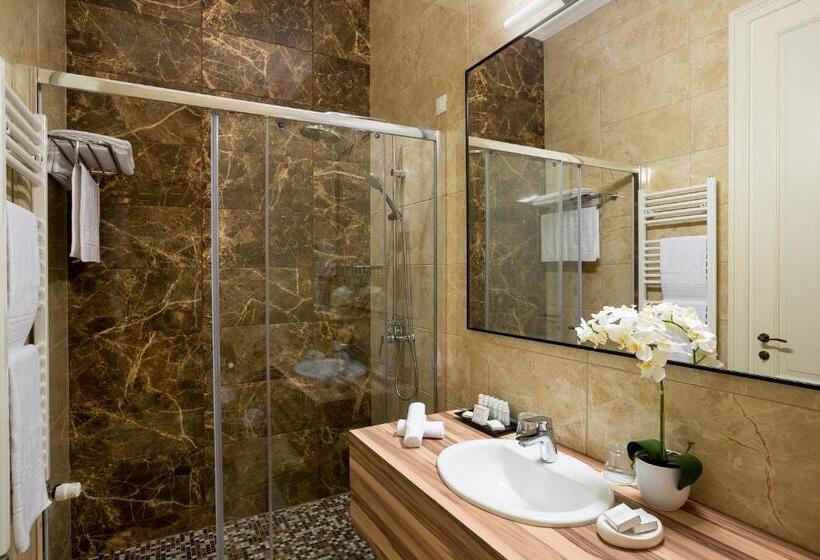 Номер Стандарт Адаптированный для Инвалидов, Saint Germain