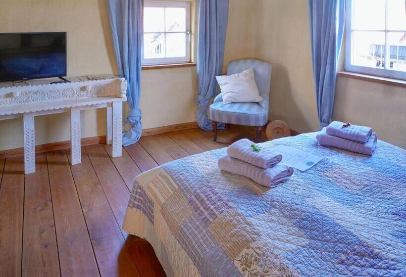 스탠다드 룸 공동 욕실, Stevenson House Bed And Breakfast